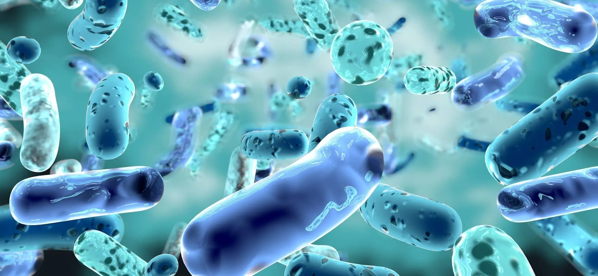 Trattamenti Antivirali e Antibatterici